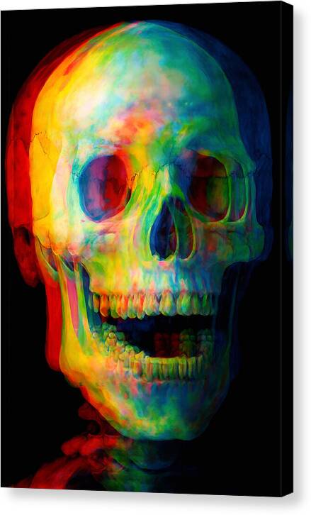 Chromagnon - Canvas Print