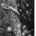 Cosmic Vision - Canvas Print
