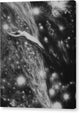 Cosmic Vision - Canvas Print