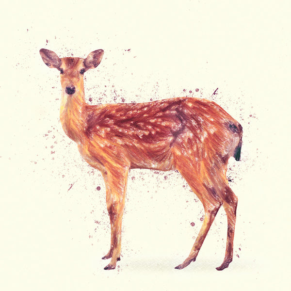 Deer Study - Art Print - Zapista