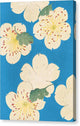 Dogwood Blossoms on Blue - Canvas Print
