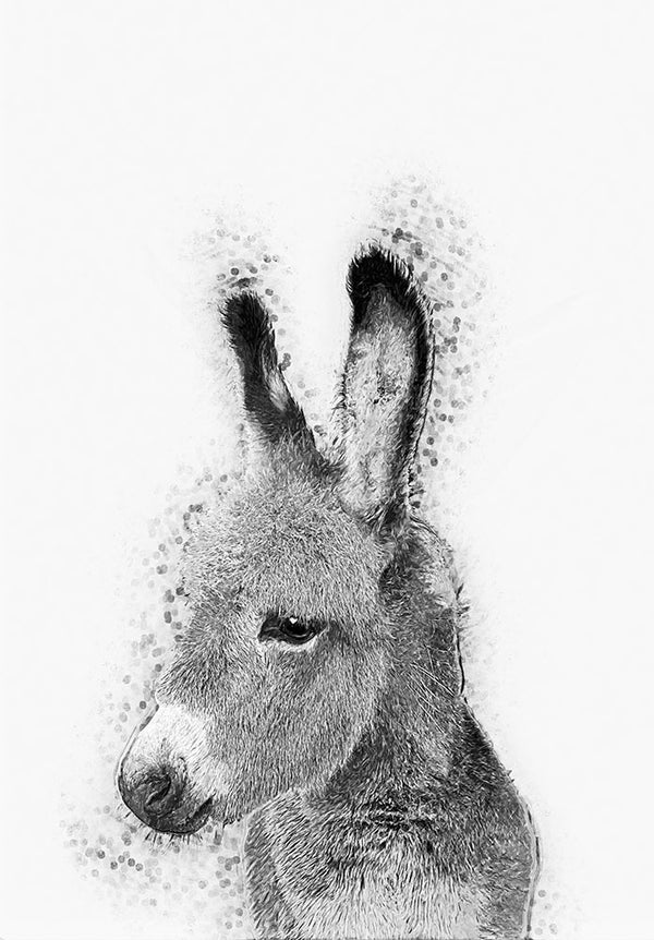 Donkey - Art Print - Zapista