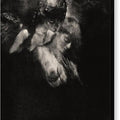 Dream - Canvas Print