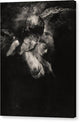 Dream - Canvas Print