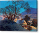 Early Morning, First Snow - Canvas Print
