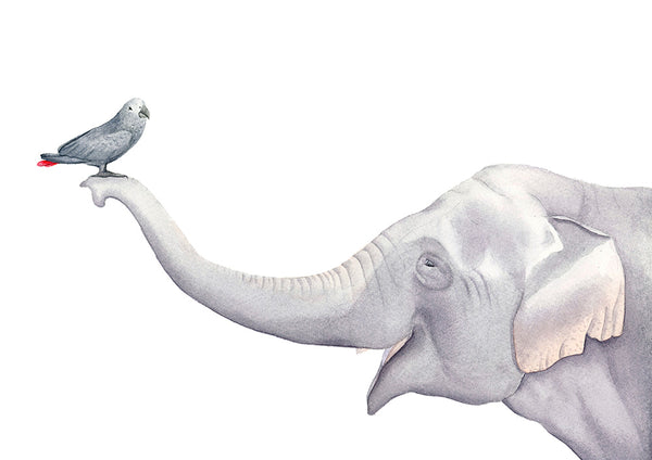 Elephant and Bird Watercolor - Art Print - Zapista
