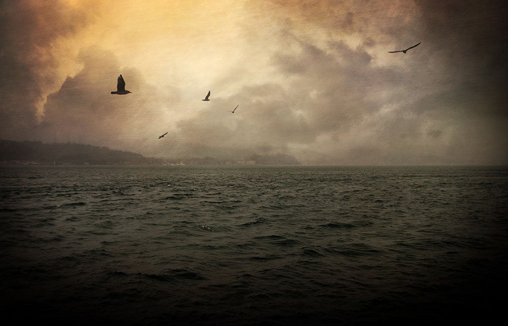 Far Apart - Art Print - Zapista
