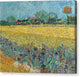 Field with Irises near Arles - Canvas Print