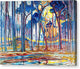 Forest - Canvas Print