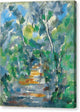 Forest Scene - Path from Mas Jolie to Chateau noir - Canvas Print