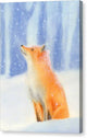 Fox in the Snow - Canvas Print