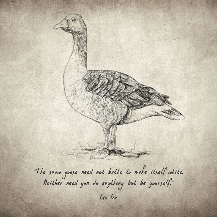 Goose Quote by Lao Tzu - Art Print - Zapista
