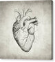 Heart - Canvas Print