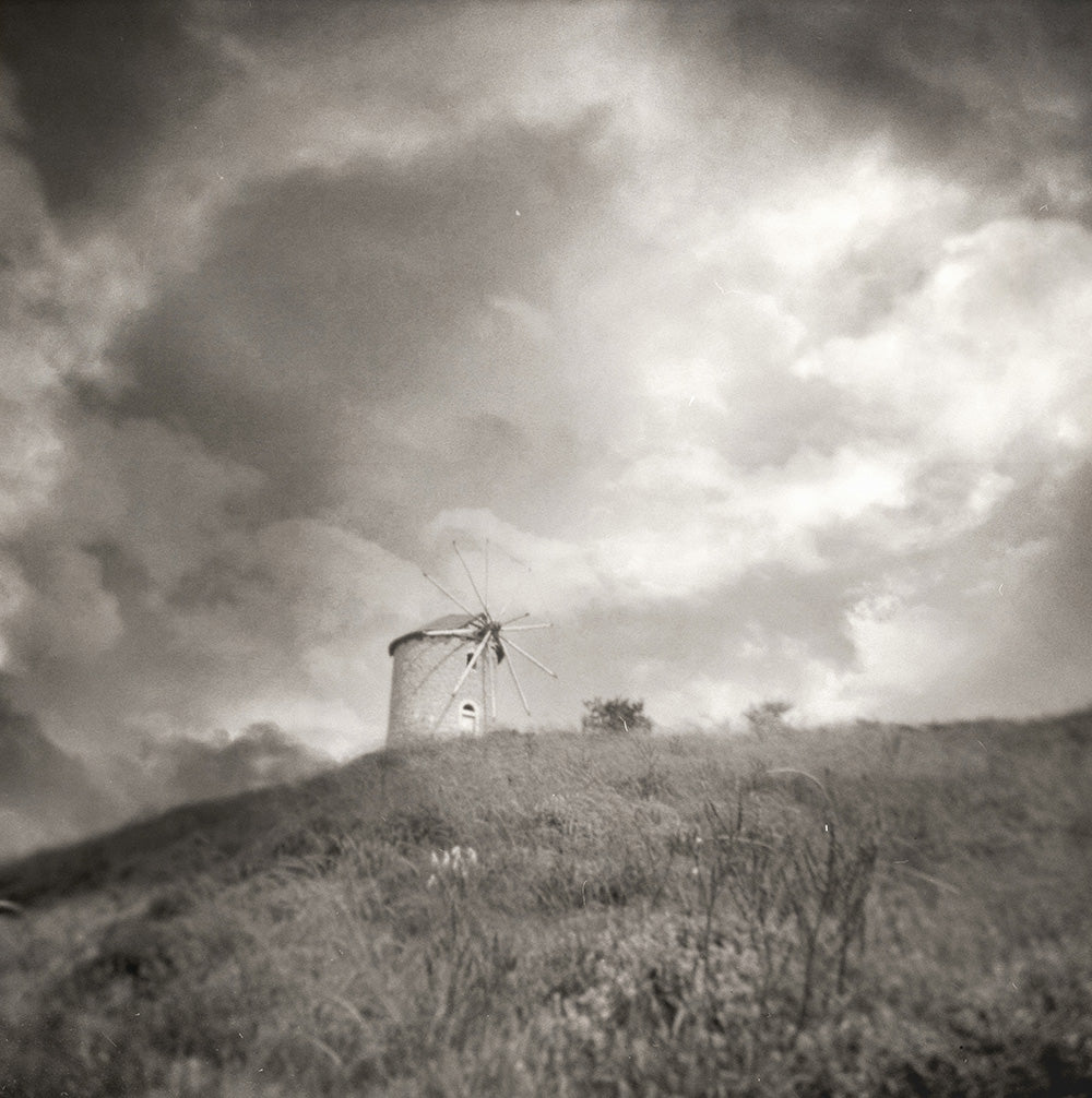 Holga Dream - Art Print - Zapista