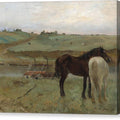 Horses in a Meadow - Canvas Print