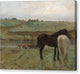 Horses in a Meadow - Canvas Print