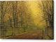 In The Golden Glow Of Autumn - Canvas Print