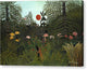 Jungle with Setting Sun - Canvas Print