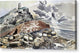 Kimmeridge Folly, Dorset - Canvas Print