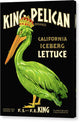 King Pelican Iceberg Lettuce - Canvas Print
