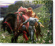 La Belle Dame sans Merci - Canvas Print