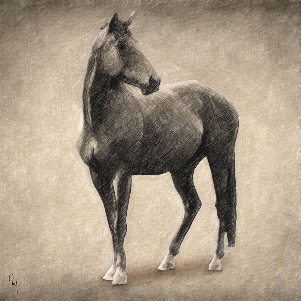 Le Cheval - Art Print - Zapista