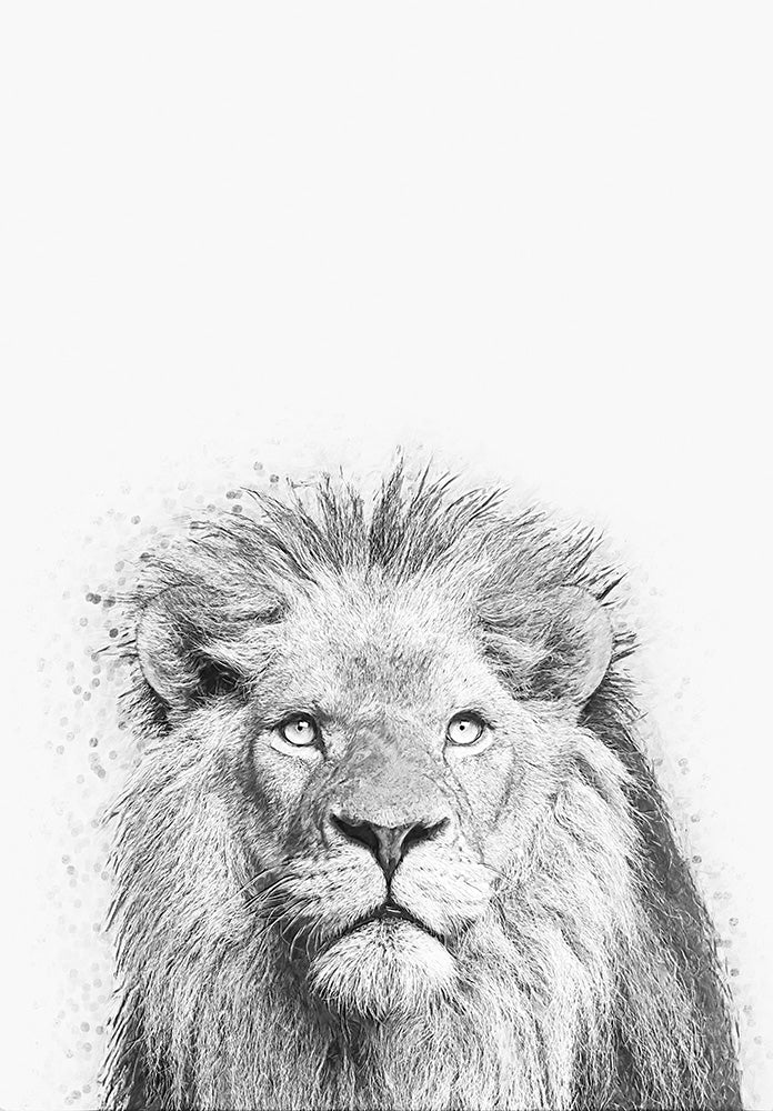 Lion - Art Print - Zapista