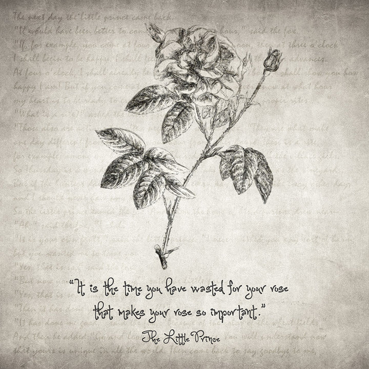 Little Prince Rose Quote - Art Print - Zapista