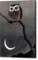 Long Eared Owl on Bare Tree Branch - Canvas Print