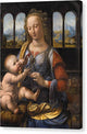 Madonna of the Carnation - Canvas Print