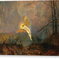 Midsummer Night or Iris - Canvas Print