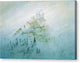 Morning Mist in the Mountains - Canvas Print