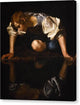 Narcissus - Canvas Print