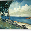 North Road, Bermuda - Canvas Print