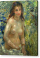 Nude in the Sunlight - Canvas Print