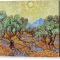 Olive Trees with Yellow Sky and Sun - Canvas Print