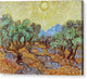 Olive Trees with Yellow Sky and Sun - Canvas Print