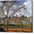 On Orchard in Pontoise in Winter - Canvas Print