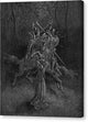 Orlando Furioso V - Canvas Print