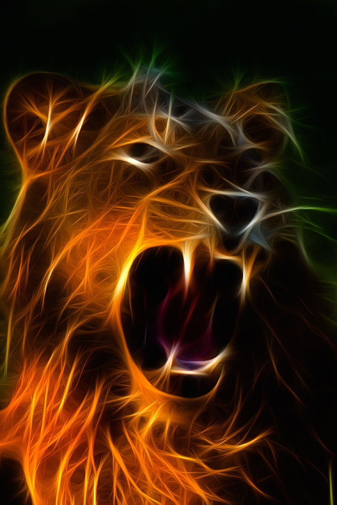 Panthera Leo - Art Print - Zapista