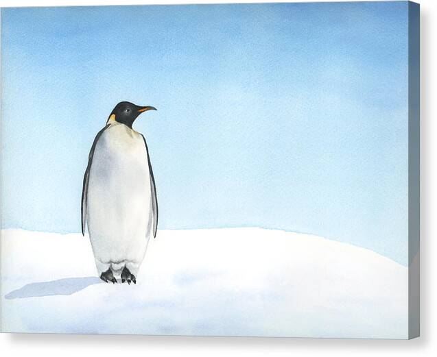 Penguin watercolor - Canvas Print