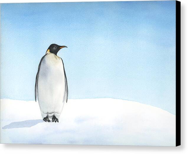 Penguin watercolor - Canvas Print