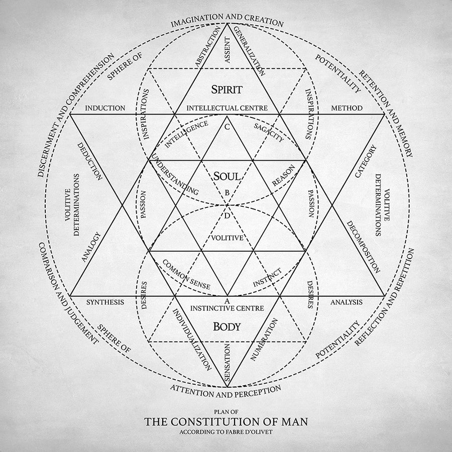 Plan of constitution of man - Art Print - Zapista