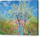 Poirier En Fleurs - Canvas Print