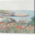 Poppies on the Isles of Shoals - Canvas Print