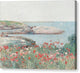 Poppies on the Isles of Shoals - Canvas Print