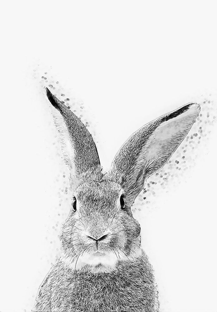 Rabbit - Art Print - Zapista
