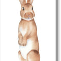 Rabbit Watercolor - Canvas Print