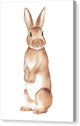 Rabbit Watercolor - Canvas Print