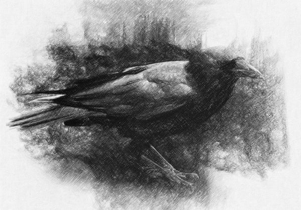 Raven - Art Print - Zapista